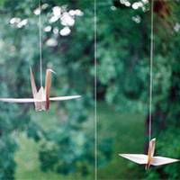 微信头像千纸鹤 把爱化成一只只千纸鹤