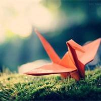 微信头像千纸鹤 把爱化成一只只千纸鹤