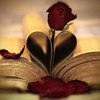 唯美书本头像图片 好看有书的微信头像