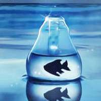 微信漂流瓶头像图片