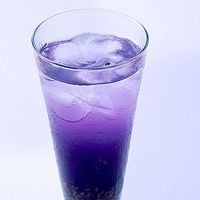 薰衣草清新头像 清新唯美的紫色薰衣草