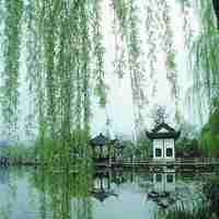 微信头像小清新风景_小清新范的自然风景