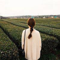 微信头像女生简单大方风景