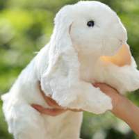 微信头像公仔_公仔照片可爱来袭