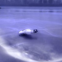 微信漂流瓶头像图片