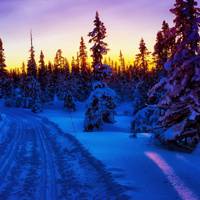 微信头像雪景图片大全