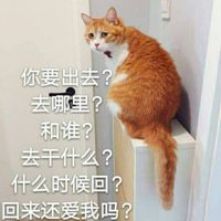 高清超萌可爱猫咪带文字