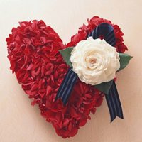 微信带花头像 各种好看的带花微信头像图片