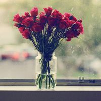 微信带花头像 各种好看的带花微信头像图片