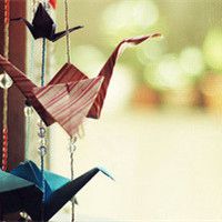 微信头像千纸鹤 把爱化成一只只千纸鹤