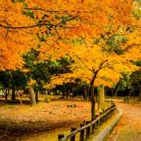 微信头像意境唯美风景 优美好看风景