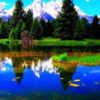 微信头像小清新风景_小清新范的自然风景