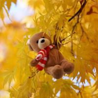 可爱的小物件头像 浪漫温馨而甜蜜