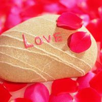 微信带花头像 各种好看的带花微信头像图片