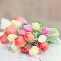 微信头像意境唯美_简约唯美意境让人心静