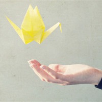 微信头像千纸鹤 把爱化成一只只千纸鹤