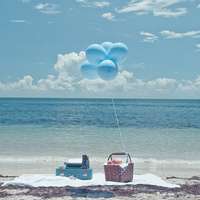 静物微信头像 唯美静物清爽文艺