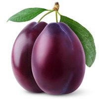 微信头像紫色花 好看唯美的紫色花美翻了