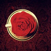 微信带花头像 各种好看的带花微信头像图片