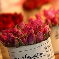 微信带花头像 各种好看的带花微信头像图片