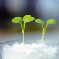 微信头像意境唯美_简约唯美意境让人心静