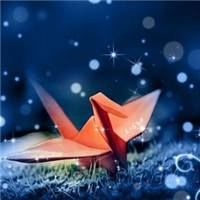 微信头像千纸鹤 把爱化成一只只千纸鹤