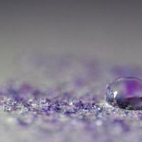 紫色唯美意境头像 紫色控不可错过