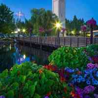 微信头像小清新风景_小清新范的自然风景