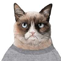 个性的微信卡通猫头像图片