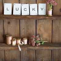 静物微信头像 唯美静物清爽文艺