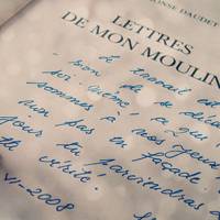 微信头像书本花香 花香书香醉人