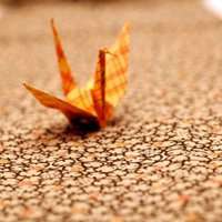 微信头像千纸鹤 把爱化成一只只千纸鹤