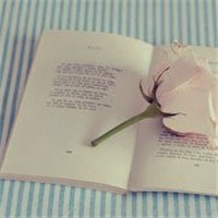 唯美书本头像图片 好看有书的微信头像