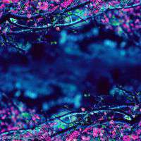 紫色唯美意境头像 紫色控不可错过