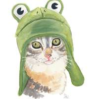 个性的微信卡通猫头像图片