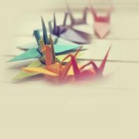 微信头像千纸鹤 把爱化成一只只千纸鹤