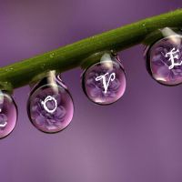 水滴头像图片大全,好看的清新水滴头像图片