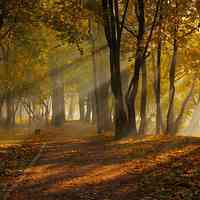 最美风景微信头像