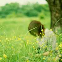 唯美的意境伤感颓废女生头像图片