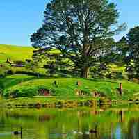 微信头像小清新风景_小清新范的自然风景