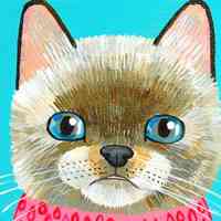 个性的微信卡通猫头像图片