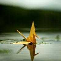 微信头像千纸鹤 把爱化成一只只千纸鹤