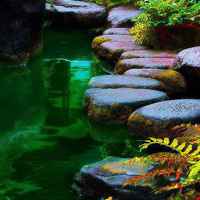 微信头像小清新风景_小清新范的自然风景