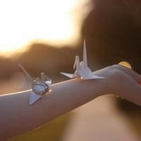 微信头像千纸鹤 把爱化成一只只千纸鹤