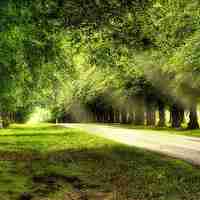 最美风景微信头像