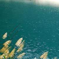 微信头像小清新风景_小清新范的自然风景