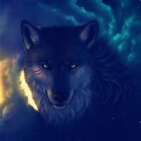 微信狼头像图片大全 霸气十足冷酷的狼