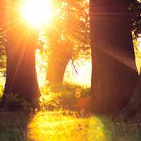 最美风景微信头像