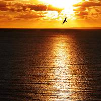 好看意境非主流风景图