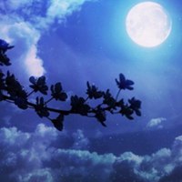 微信头像寂寞孤单_好看唯美的孤独寂寞图片